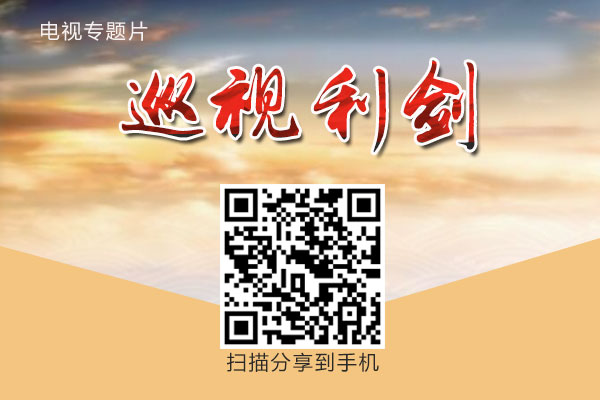 ����ۿ�����ר��Ƭ��Ѳ��������